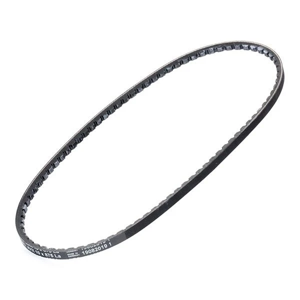 CORREA AVX 10X875 CONTINENTAL